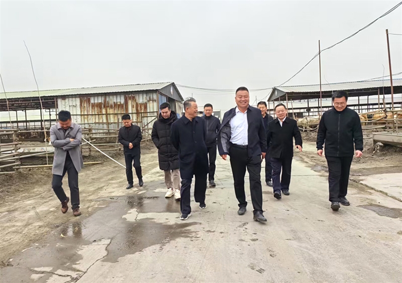 企业风采